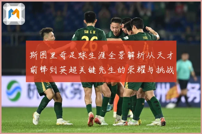 斯图里奇足球生涯全景解析从天才前锋到英超关键先生的荣耀与挑战