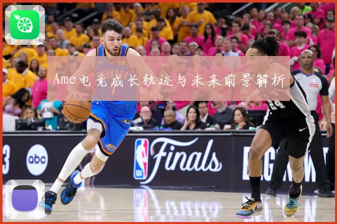 Ame电竞成长轨迹与未来前景解析